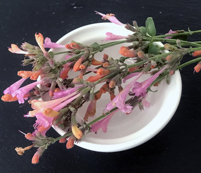 4 fleurs séchées comestibles pour pâtisserie - Lavande, rose