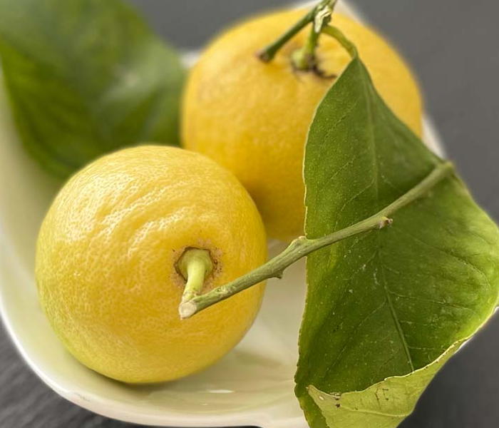 Citron de Nice