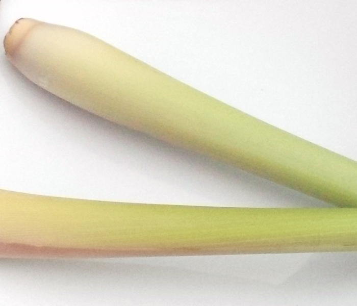 Citronelle bâton