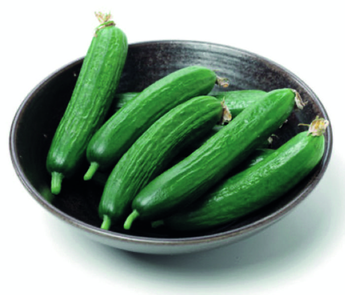 Concombre libanais