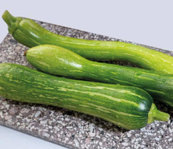 Courgette de Nice