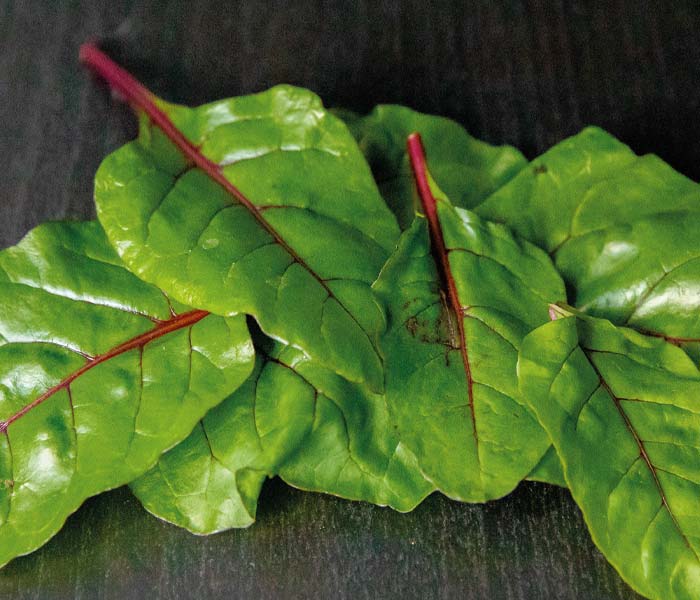 Red chard