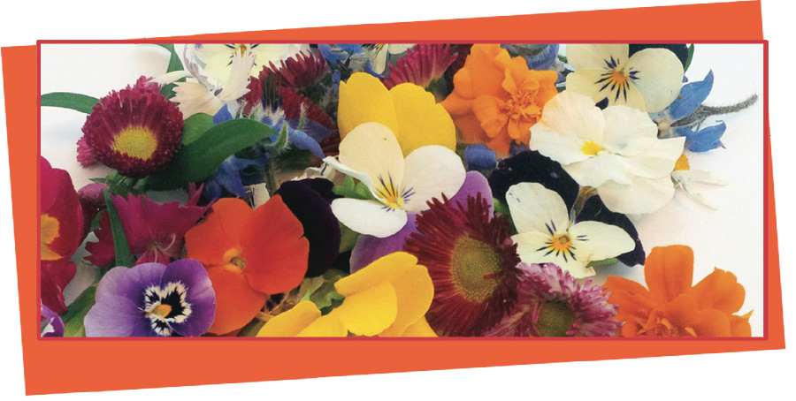 Bataille de fleurs