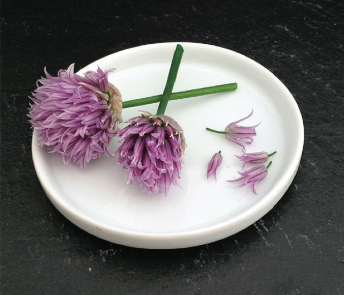 Fleur comestible MARIUS AUDA - fleurs de ciboulette