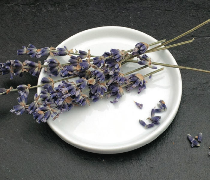 Lavande séchée