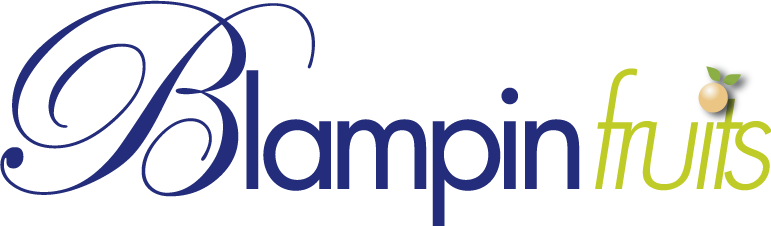 BLAMPIN