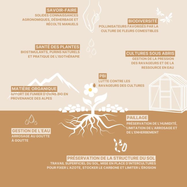 AGROECOLOGIE CHEZ MARIUS AUDA